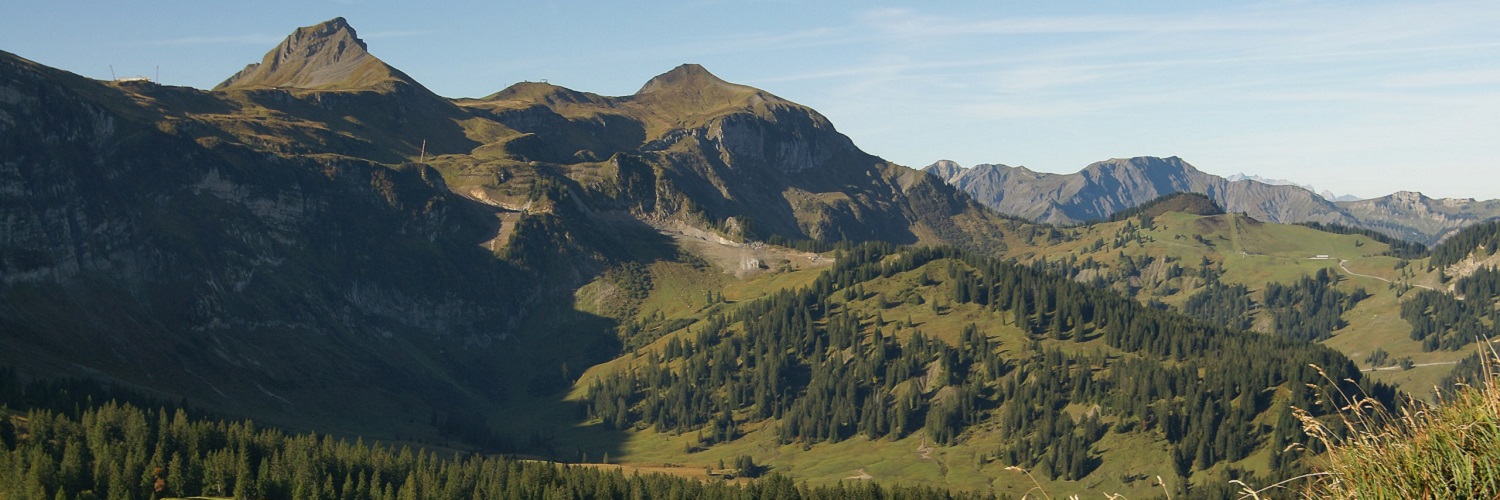 News und Inspiration für das Bundesland Vorarlberg